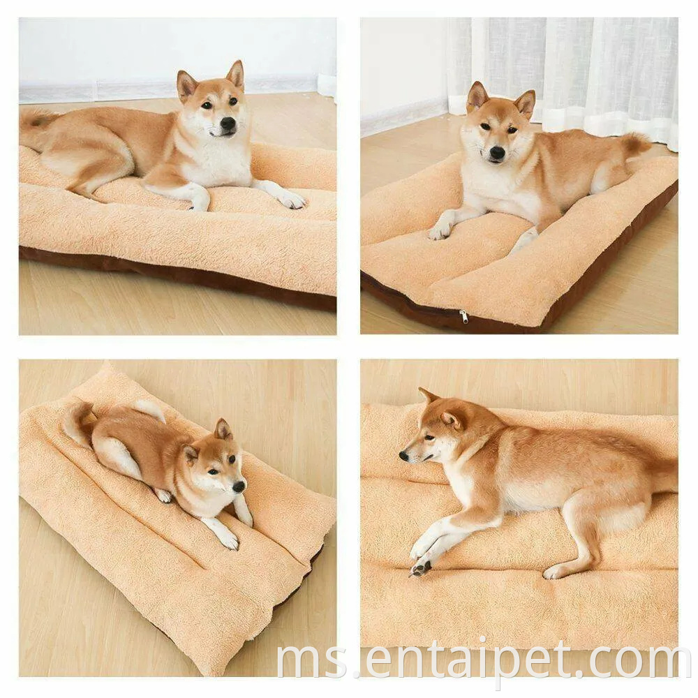 Katil Bed Mewah Tilam Anjing Kucing Bantal Tikar